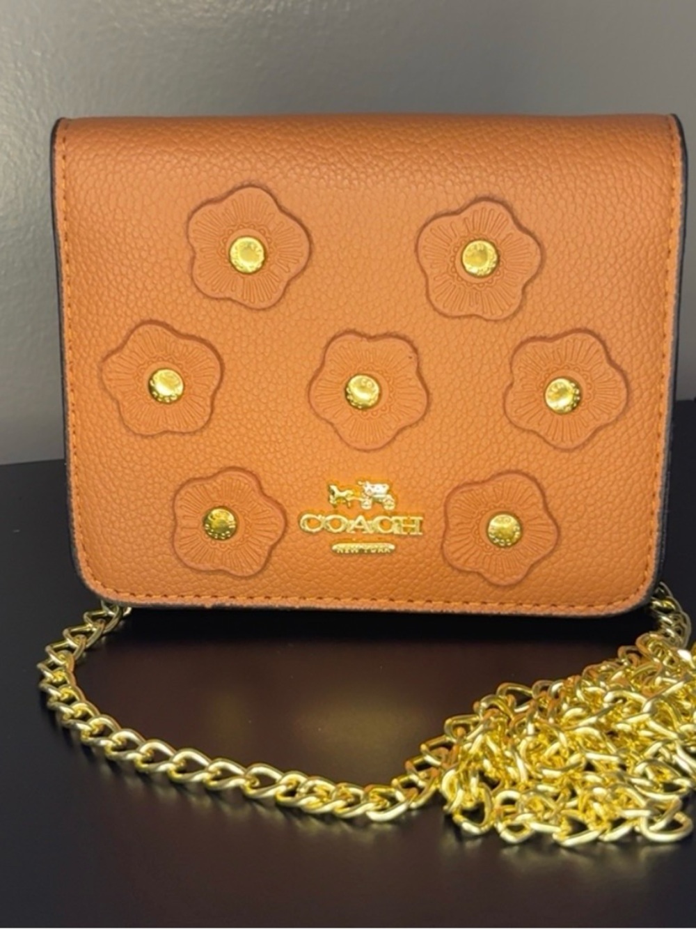 Coach Floral Appliqué Crossbody - Brown with Gold